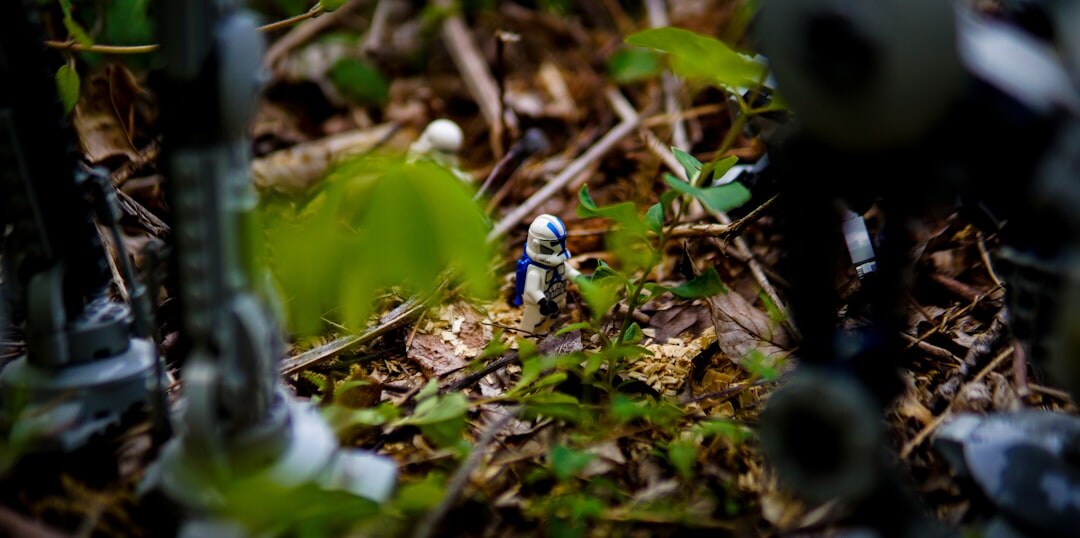 police investigation in forest
